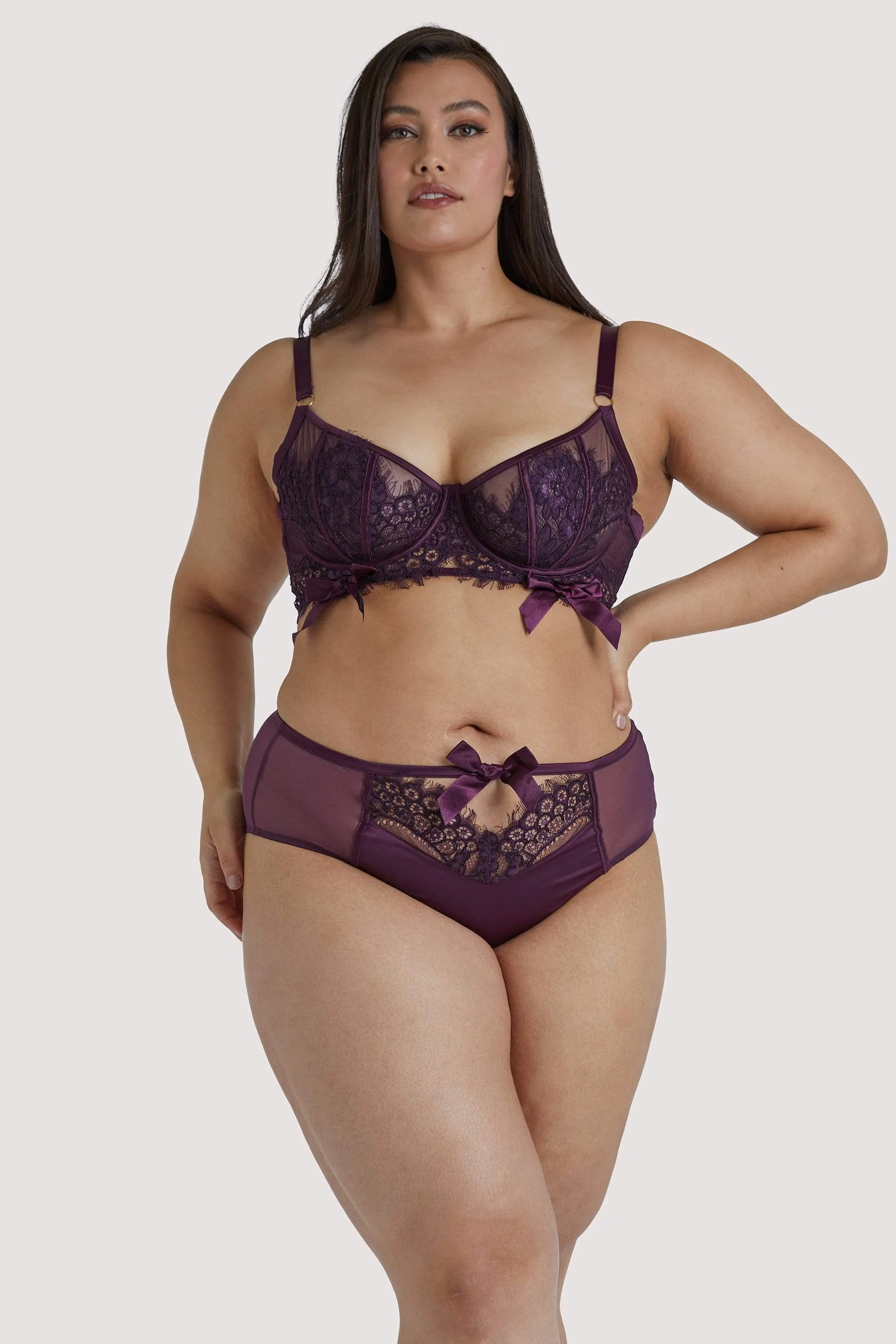 Josephine Aubergine Corded Lace High Waist Knicker