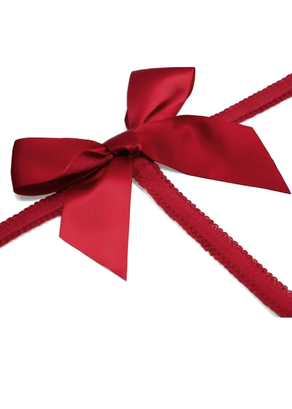 Le Petit Secret (Red) Harness and Thong Set