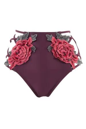 Peek & Beau Applique & Mesh Lattice Brief