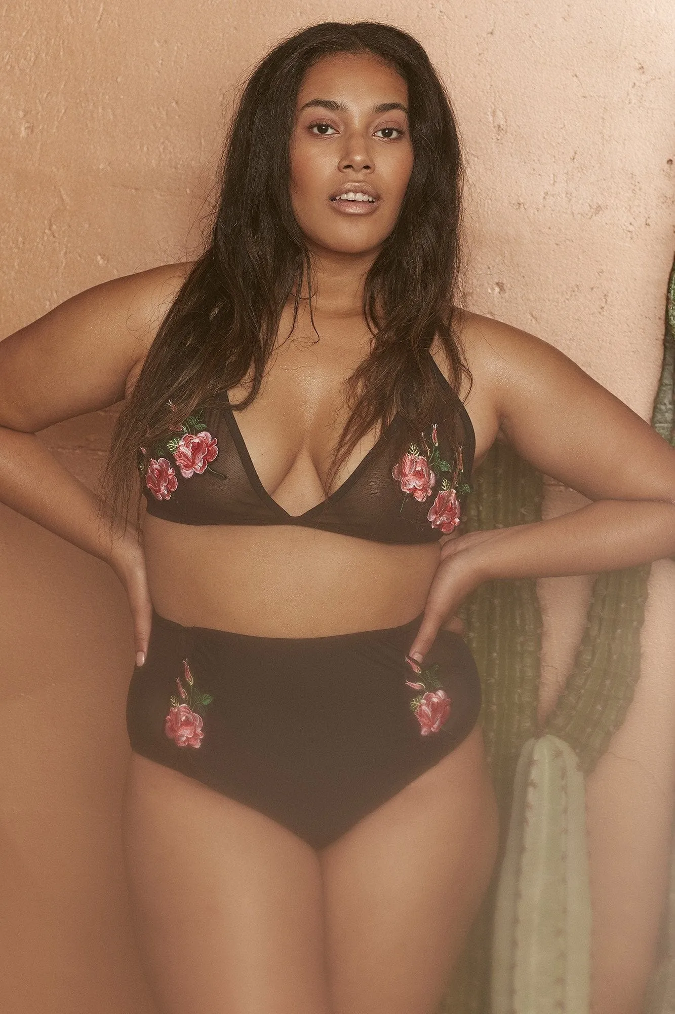 Wolf & Whistle Tayla Mesh Applique High Waist Brief Curve