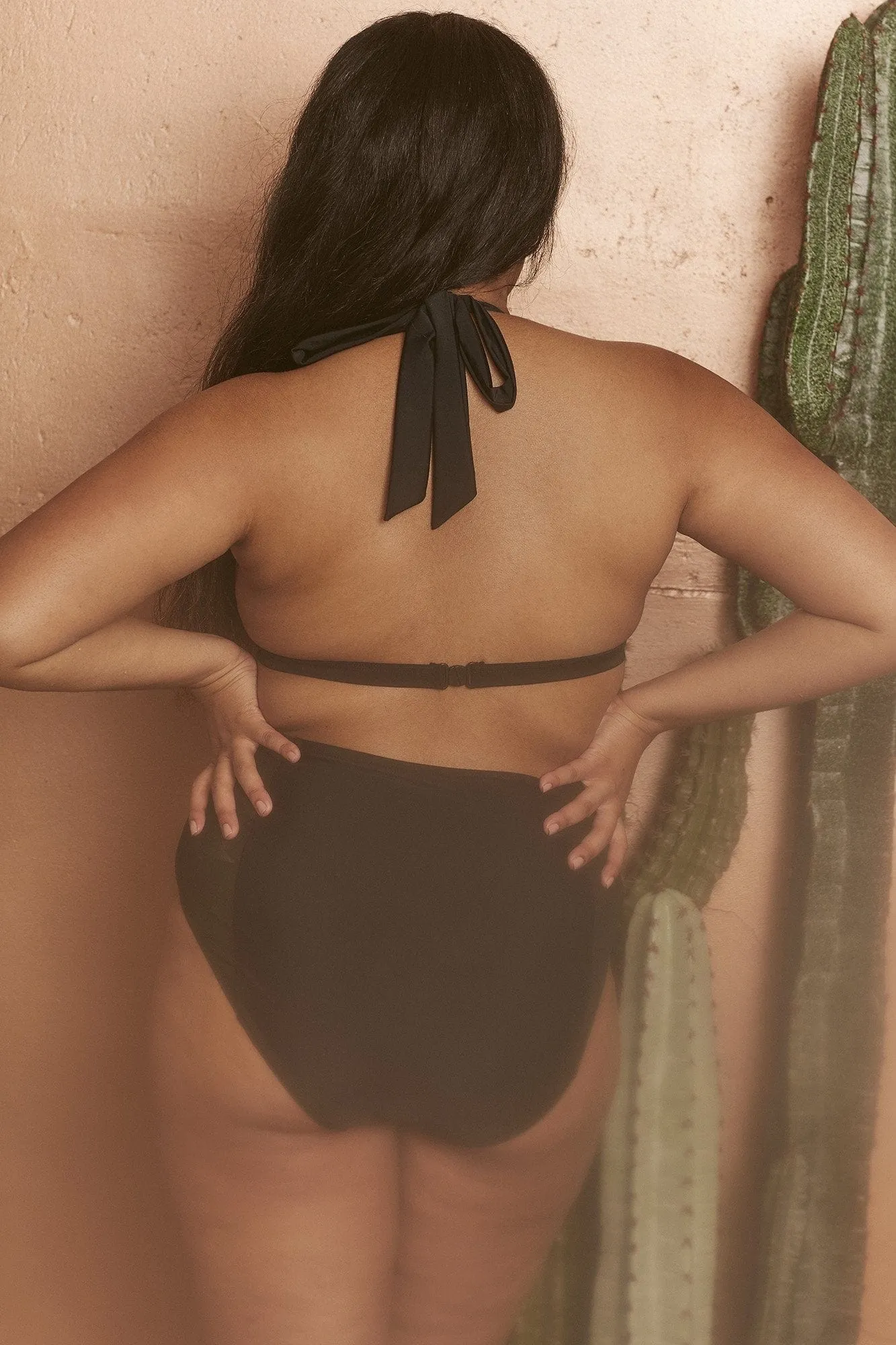Wolf & Whistle Tayla Mesh Applique High Waist Brief Curve
